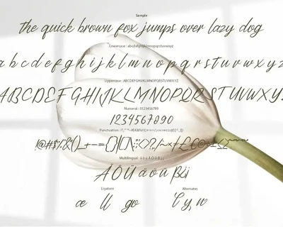 Halsyin | Modern Script Font