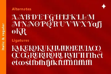 AurenNakari - Modern Serif font