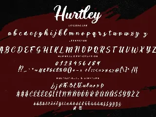 Hurtley Business Font