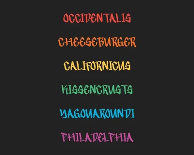 Lockside Graffiti Display Font