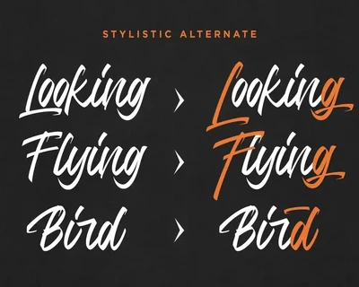 Jumps Steady Business Font