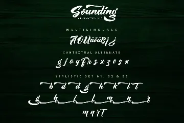 Sounding â€“ Script Font