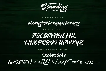 Sounding â€“ Script Font