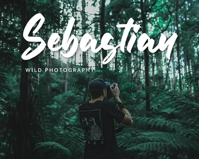 Bold Script Font