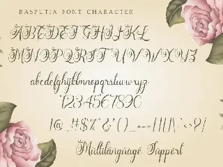 Rasputia - Beautiful Calligraphy Font