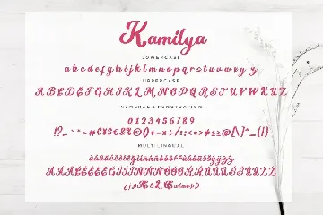 Kamilya Business Font