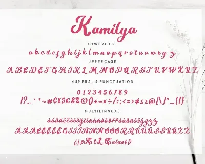 Kamilya Business Font