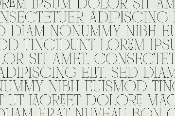 Mounchera - Art Deco Serif font