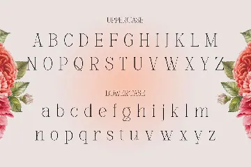 Mounchera - Art Deco Serif font