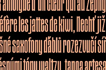 Kareen Sans Serif Display Font