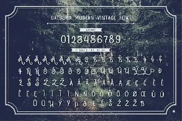 Galguna - Vintage Script Font