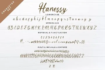 Hanessy Business Font