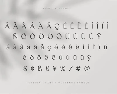 Gracela Sans Serif Elegant Font