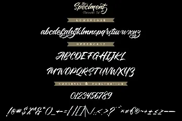The Speciment â€“ Handlettering Script Font