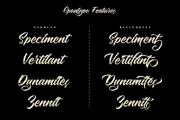 The Speciment â€“ Handlettering Script Font