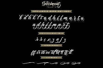 The Speciment â€“ Handlettering Script Font