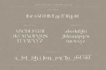 Vallery Qylmor Modern Business Font