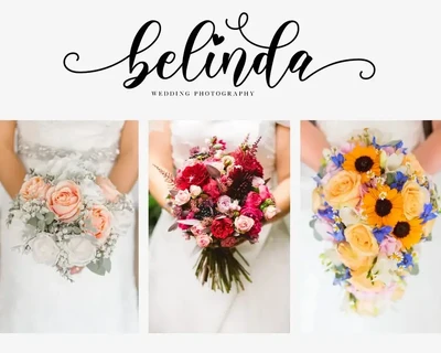 Alyanda Script font
