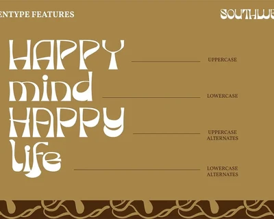 Southwest | Display Typeface Font