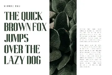 Midore - Modern Sans Font