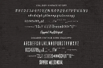 Gollder Vintage Font Duo