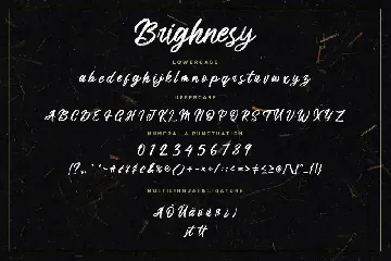 Brighnesy Hand Brush Business Font