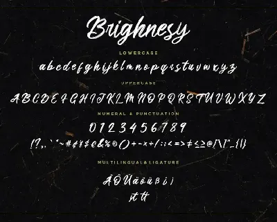 Brighnesy Hand Brush Business Font