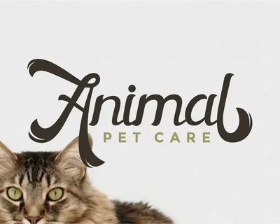 Horstail - Script Font