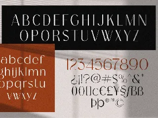 Bagina Serif font