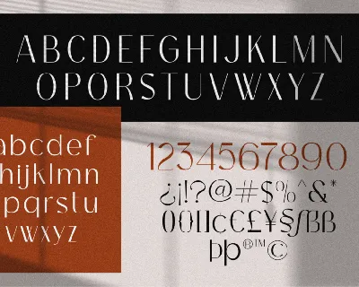 Bagina Serif font