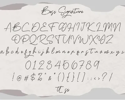 Boss Signature | Handwritten Font