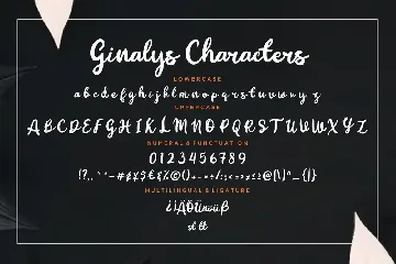 Ginalys Bold Brush Advertisement Font