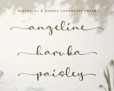 Amelia Stanley Script Font
