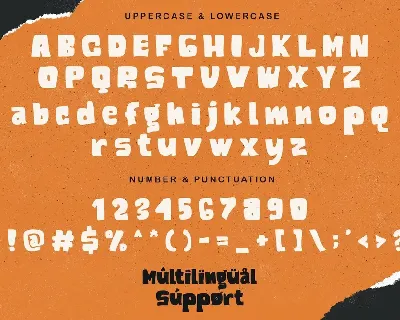 ROMAN SHINE - Display Sans Font