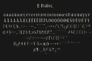 Le Buffec | Serif Display Font