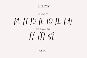 Le Buffec | Serif Display Font