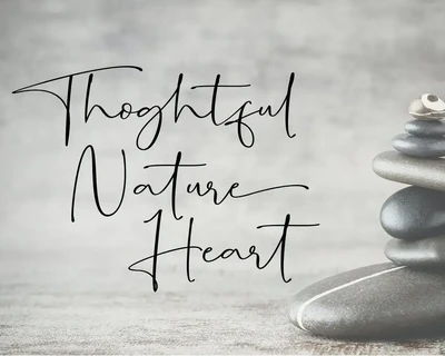 Shirlone Script font