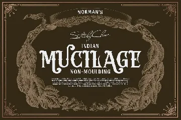 Gokil Nova - Victorian Style Font