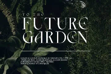 Caprise | Modern Serif font