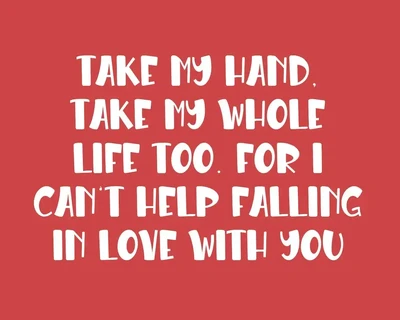 Shasy Love Lovely Display Font