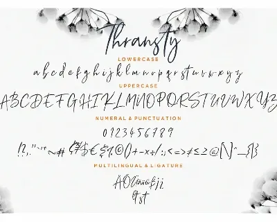 Thransty Handwritten Business Font