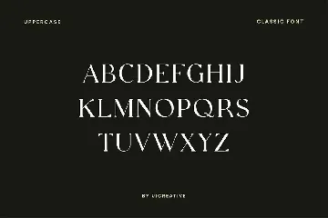 Extradicta Classic Serif Font