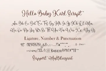Hello Baby Karl Font Duo