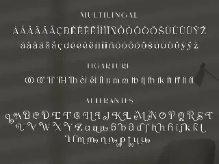 Merilia - Modern Serif Font