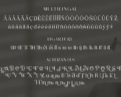 Merilia - Modern Serif Font