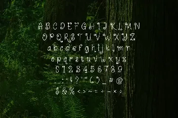 Bear Shoot - Curly Script Display Font