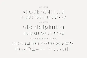 Angela Hughes Elegant Ligature Sans font