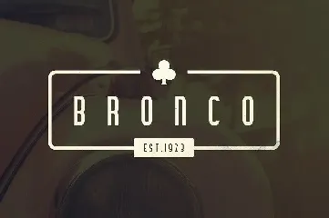 Bronco Typeface font