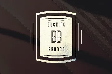 Bronco Typeface font