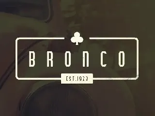 Bronco Typeface font
